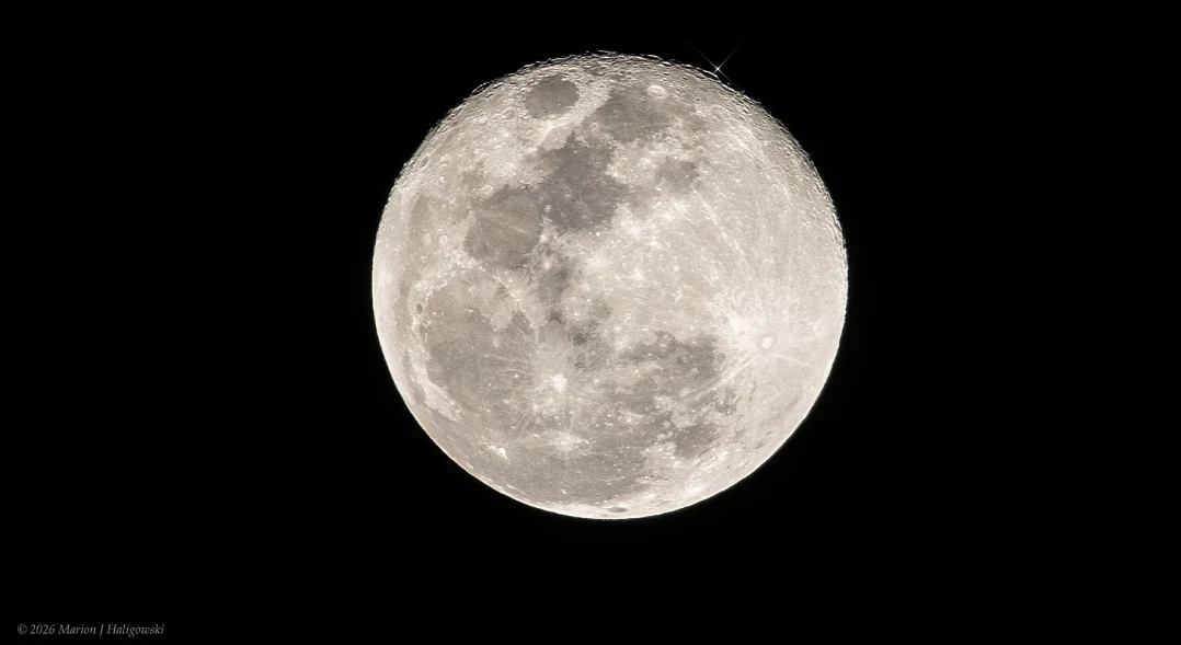 See the Moon Occult Regulus for The Americas Saturday Night