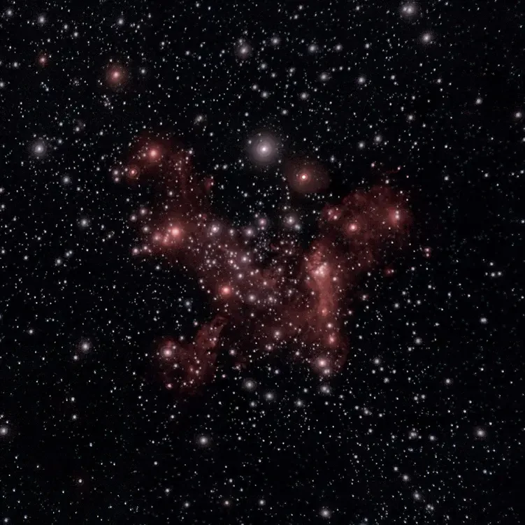 The Stars Feeding our Galaxy’s Monster